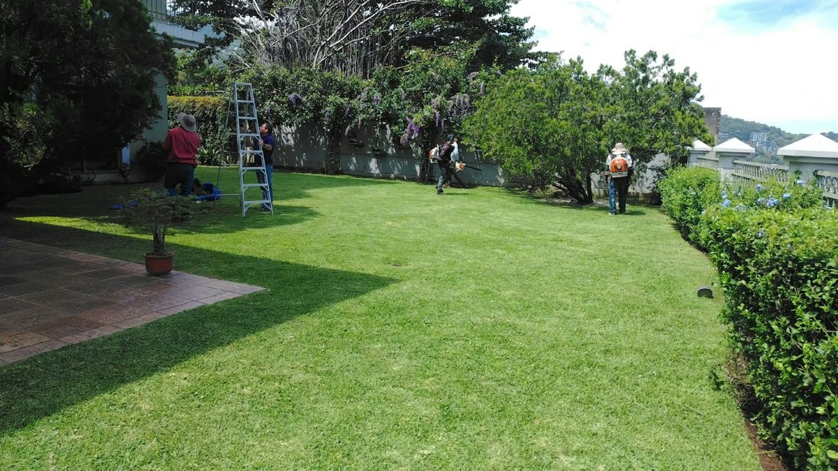 Equipo de Multiservicios Cambronero Jillo podando y manteniendo un jardín